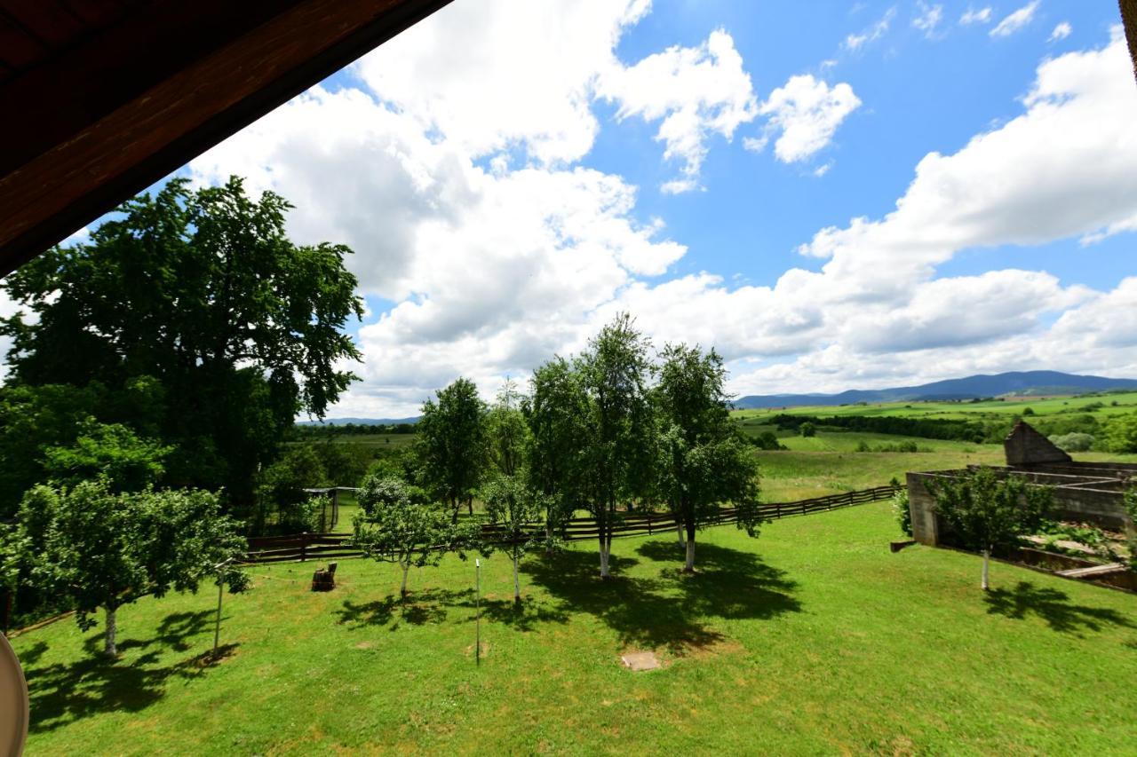 Apartman Jelena Rakovica Exteriör bild